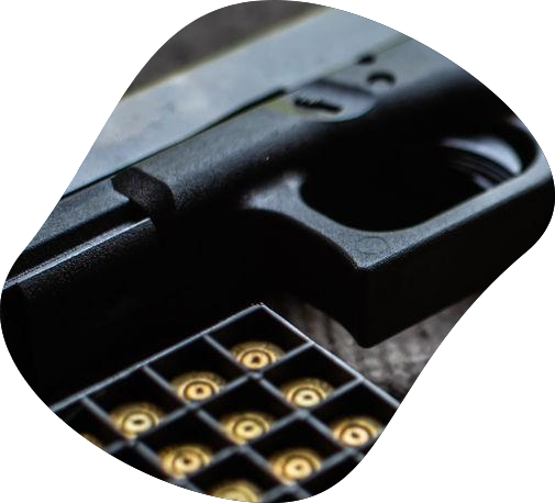 Seguro de Armas RJ Valle